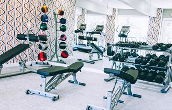 gym apartments near zilker park